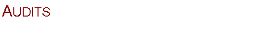 Text Box: Audits